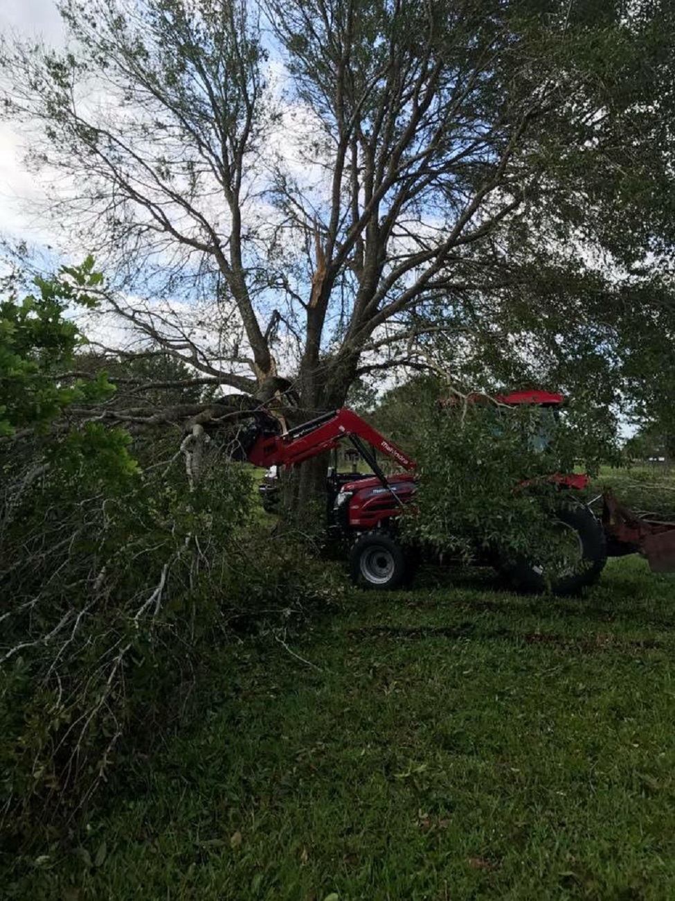 66singleMahindra255516.jpg