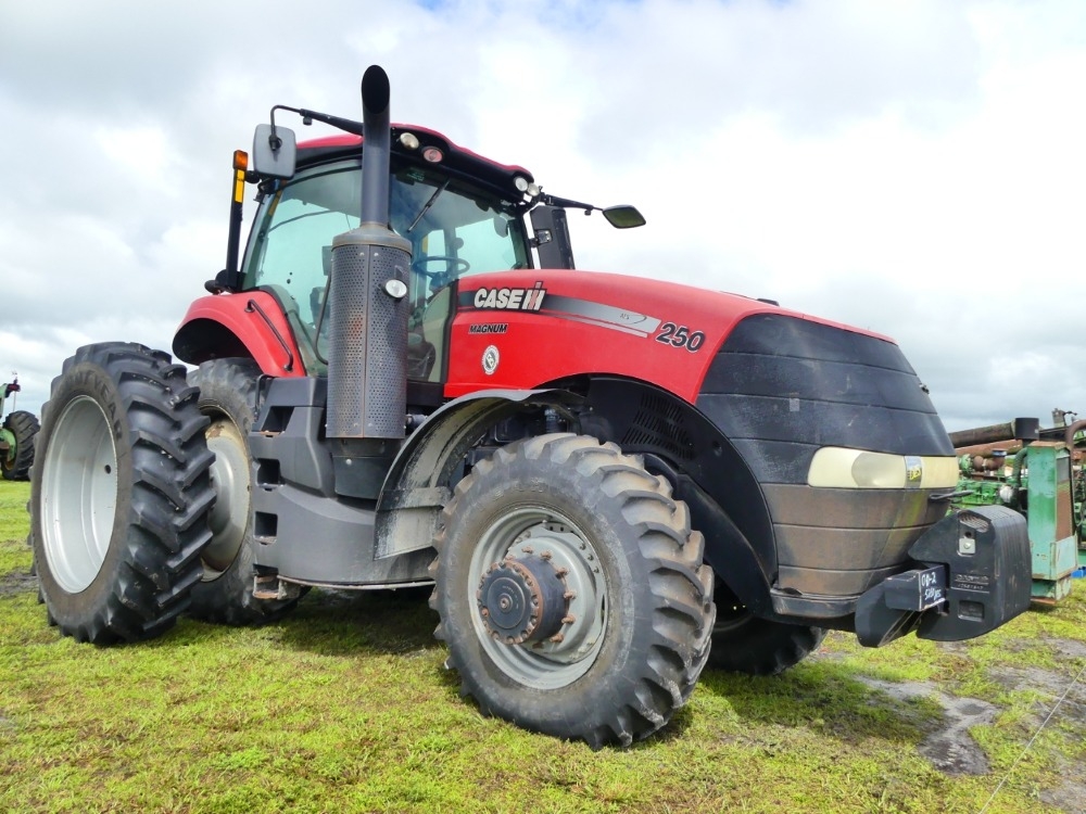 2019 Case IH 250 (A53314)