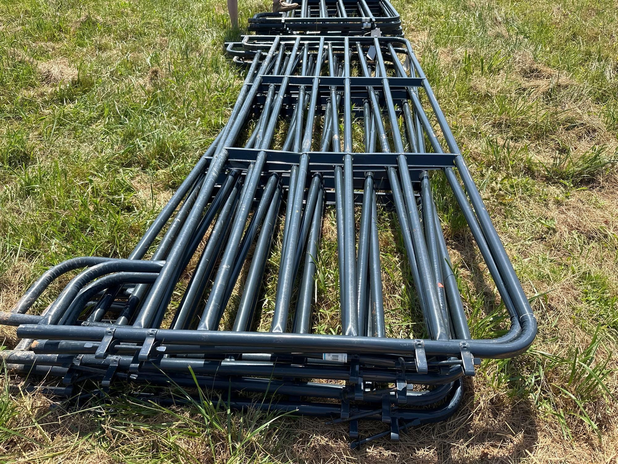 (1) 12ft Tarter Livestock Panel (A48837)