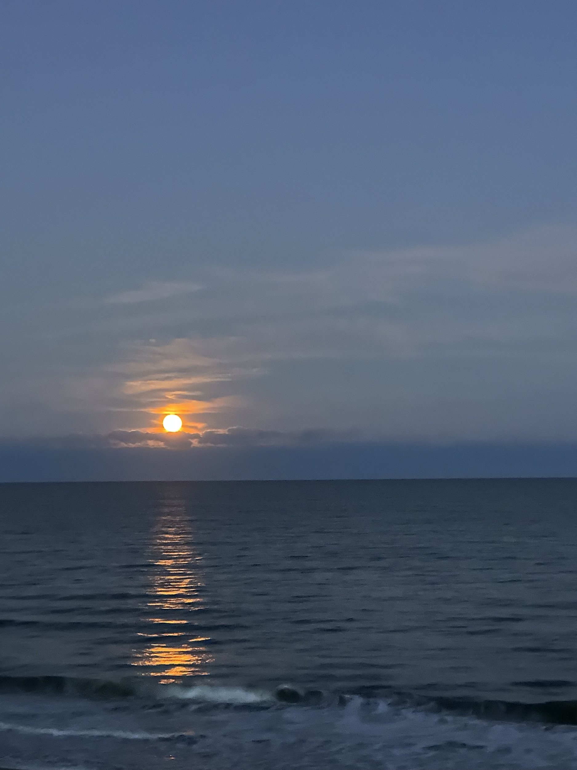 71772335555__46EC0CD1-0847-4D82-BB6B-6DF2187C6F1A.jpeg