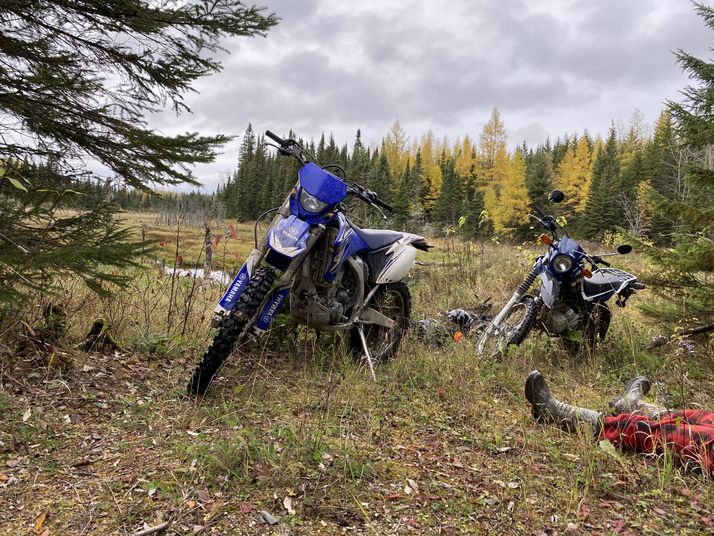 74B1509D-9AF7-4881-A570-8EE2360201F9.jpeg