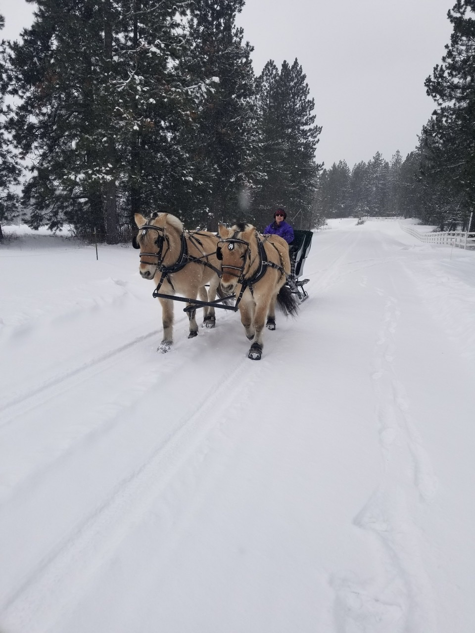 8821E1AD-5895-447F-A074-CBE1B8A106BD.jpeg 8821E1AD-5895-447F-A074-CBE1B8A106BD.jpeg