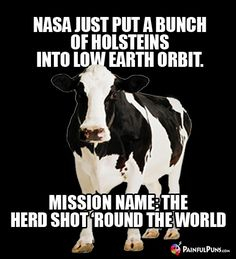 9147F52C-5D9F-42E9-8C2E-98172305F162.jpeg