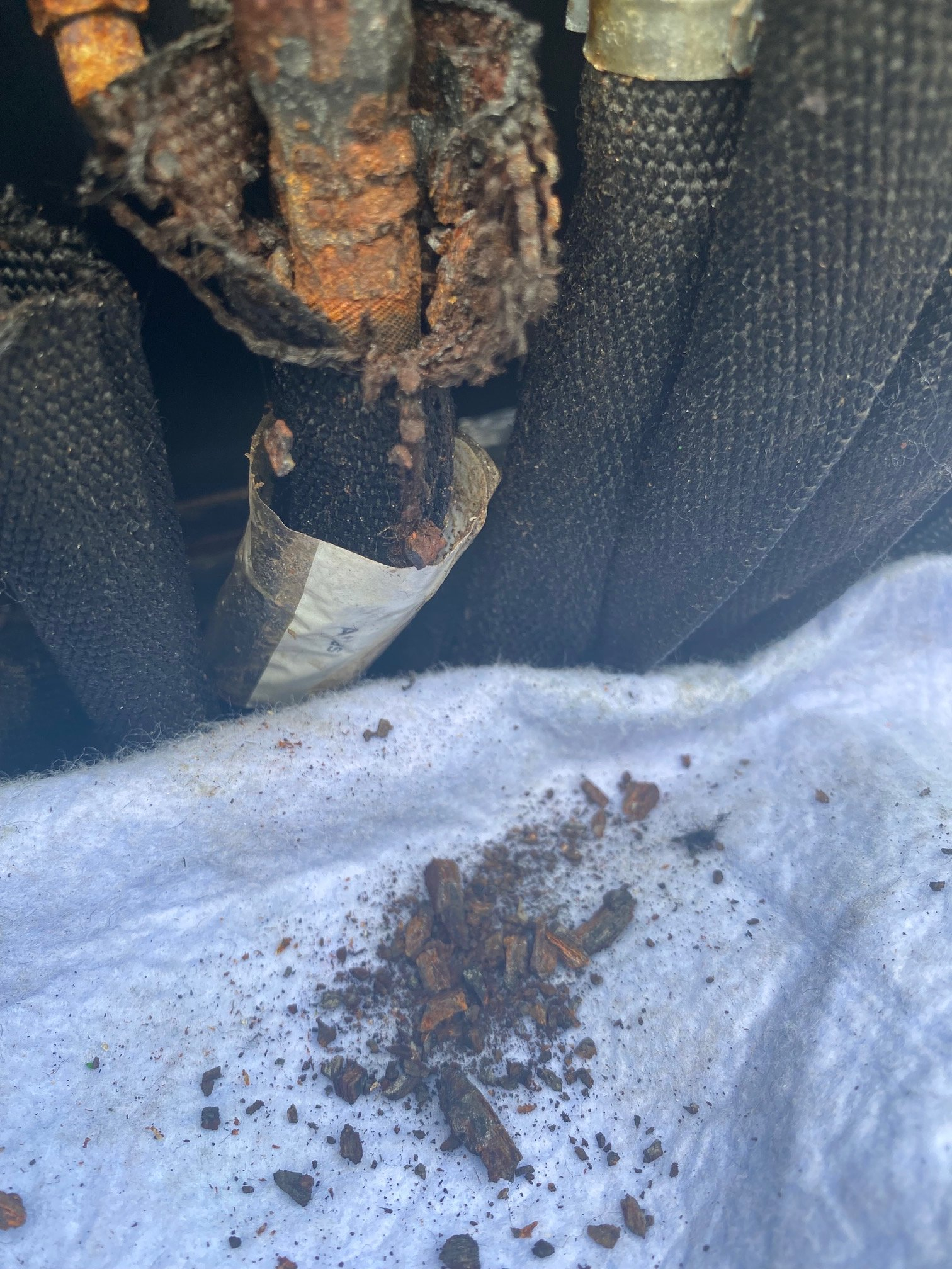 9A5192A7-5802-47D5-9498-33F22EEE555B.jpeg 9A5192A7-5802-47D5-9498-33F22EEE555B.jpeg