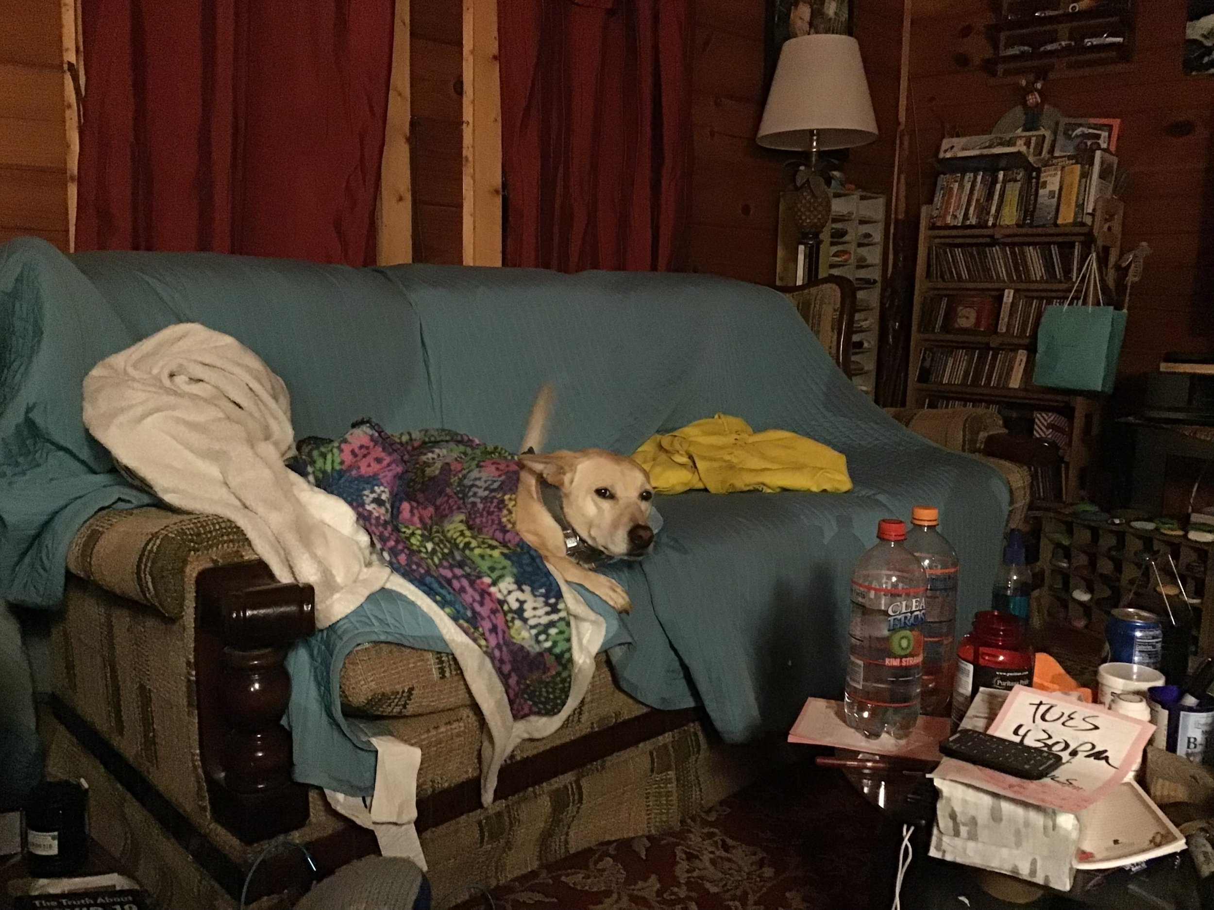9FC1CCDE-2DAD-4BF8-BED5-EB268CA69726.jpeg