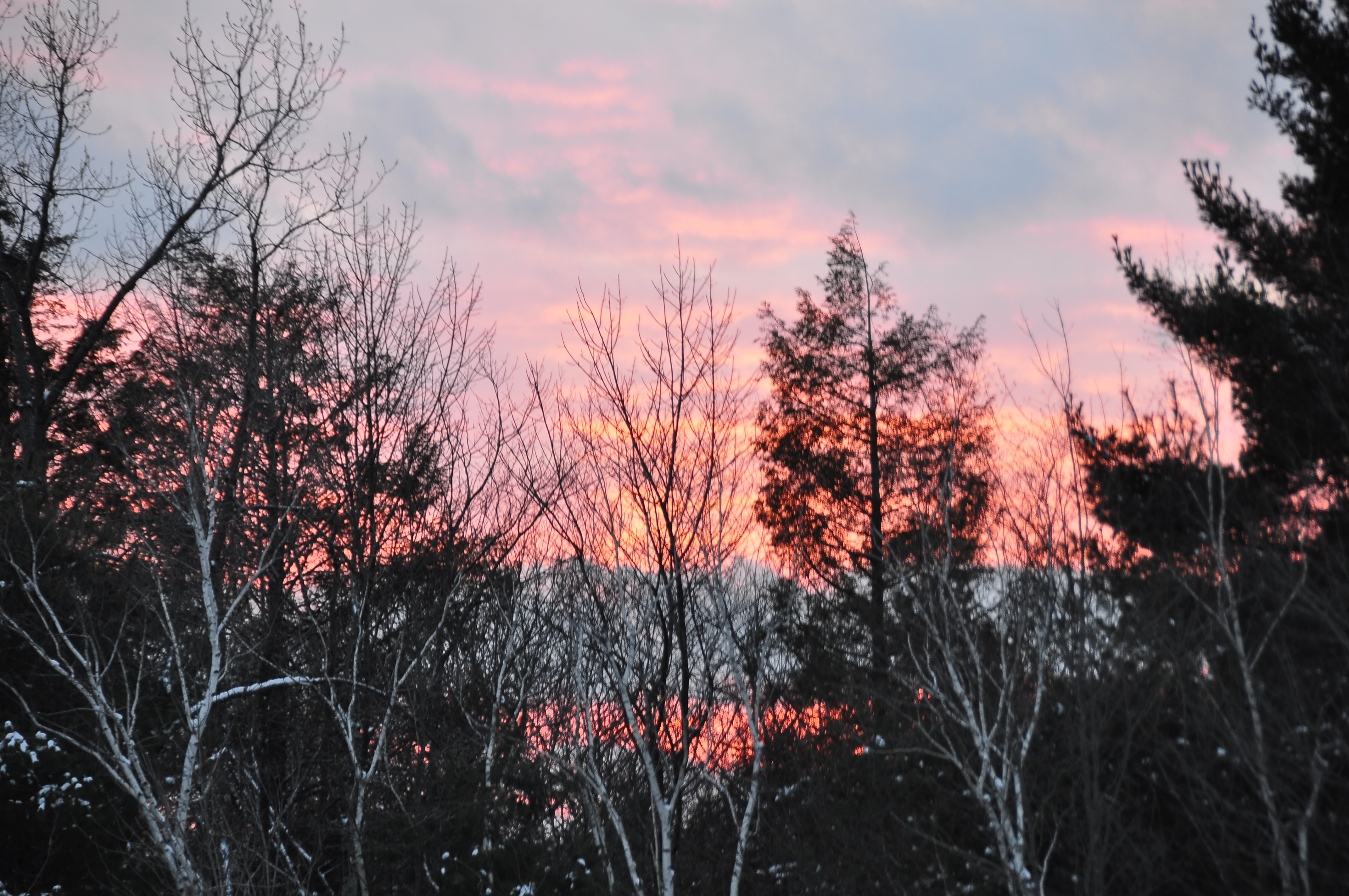 _DSC7070.JPG