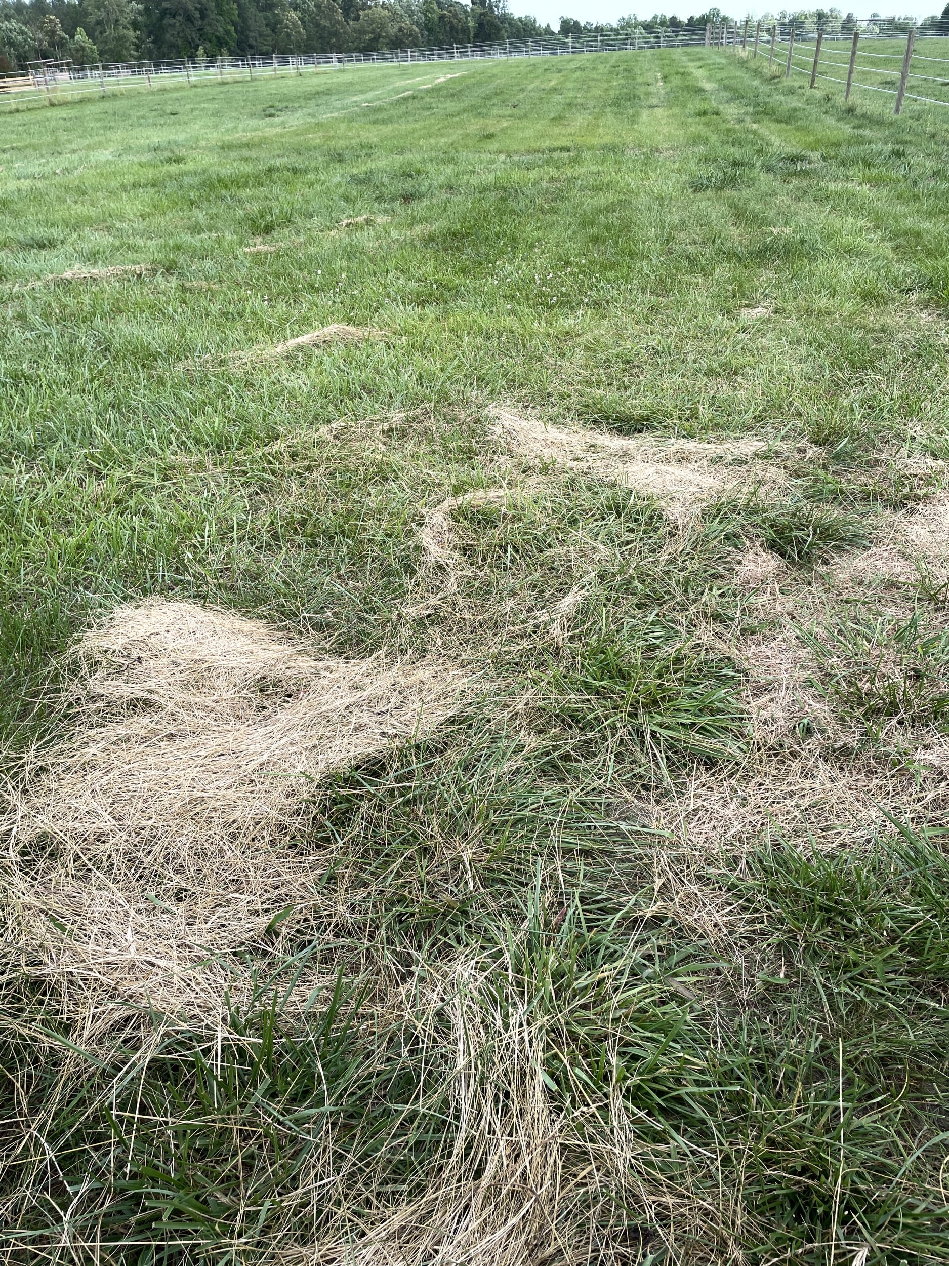 A119F0DE-7014-4590-99F6-CD7403E00F0E.jpeg A119F0DE-7014-4590-99F6-CD7403E00F0E.jpeg