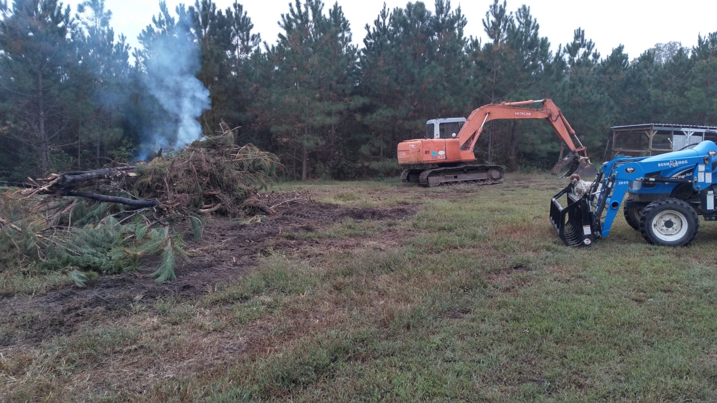 A58C8A1E-05C0-4185-A2C9-F3300C02CA32.jpeg A58C8A1E-05C0-4185-A2C9-F3300C02CA32.jpeg