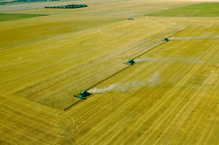 Aerial-Wheat-Harvest.JPG