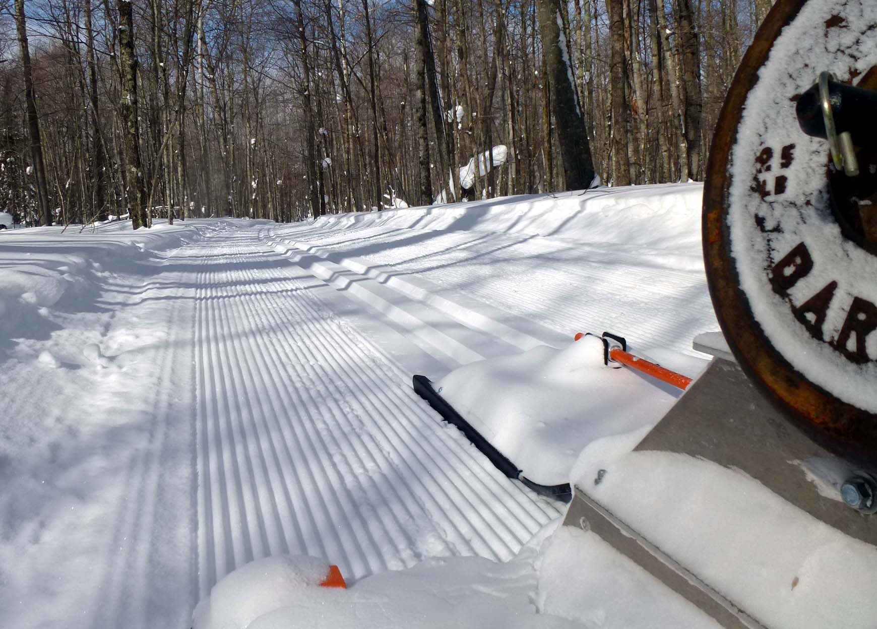 after Ginzu trail CR.b.jpg