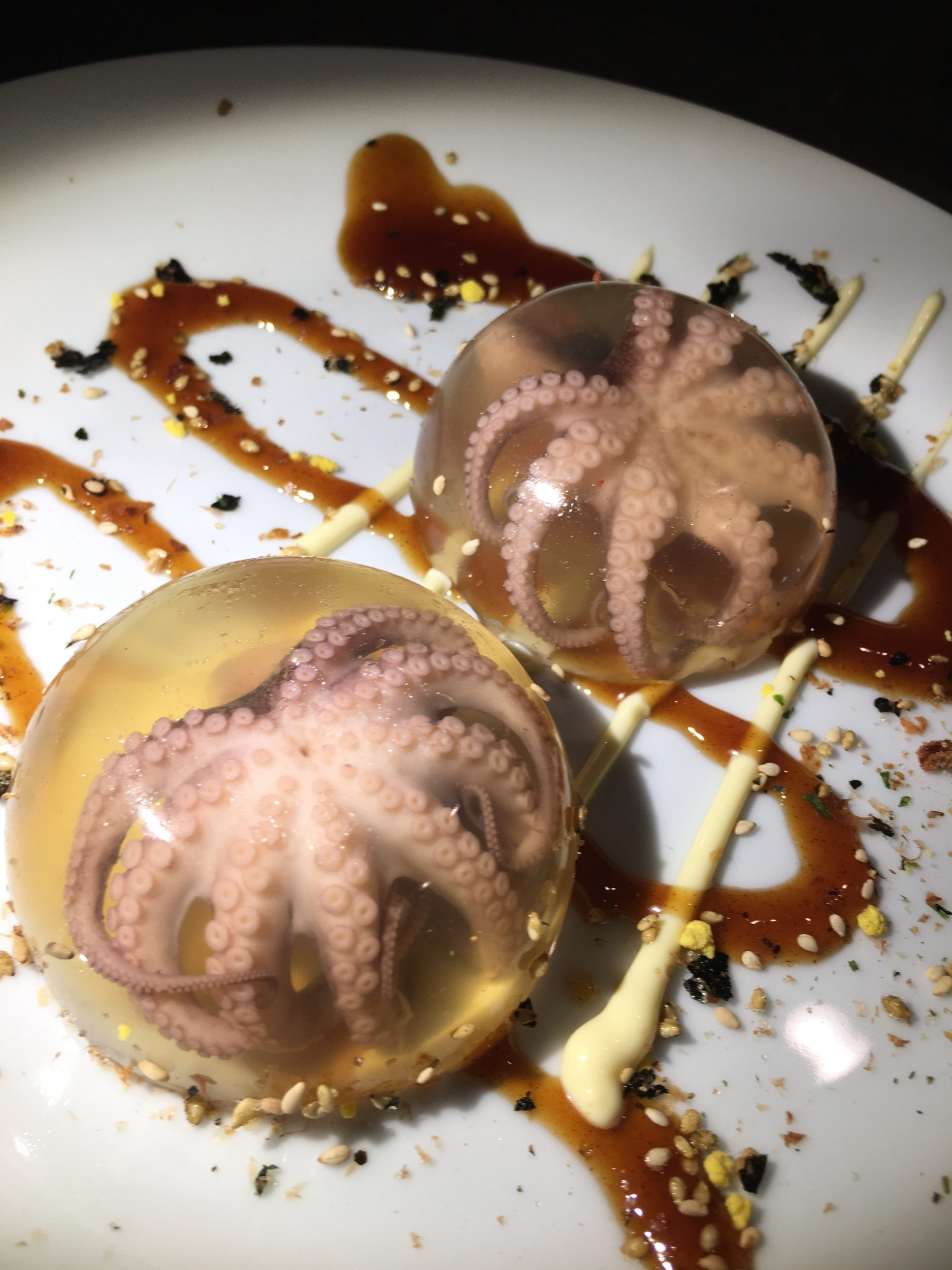 aspic03.jpg