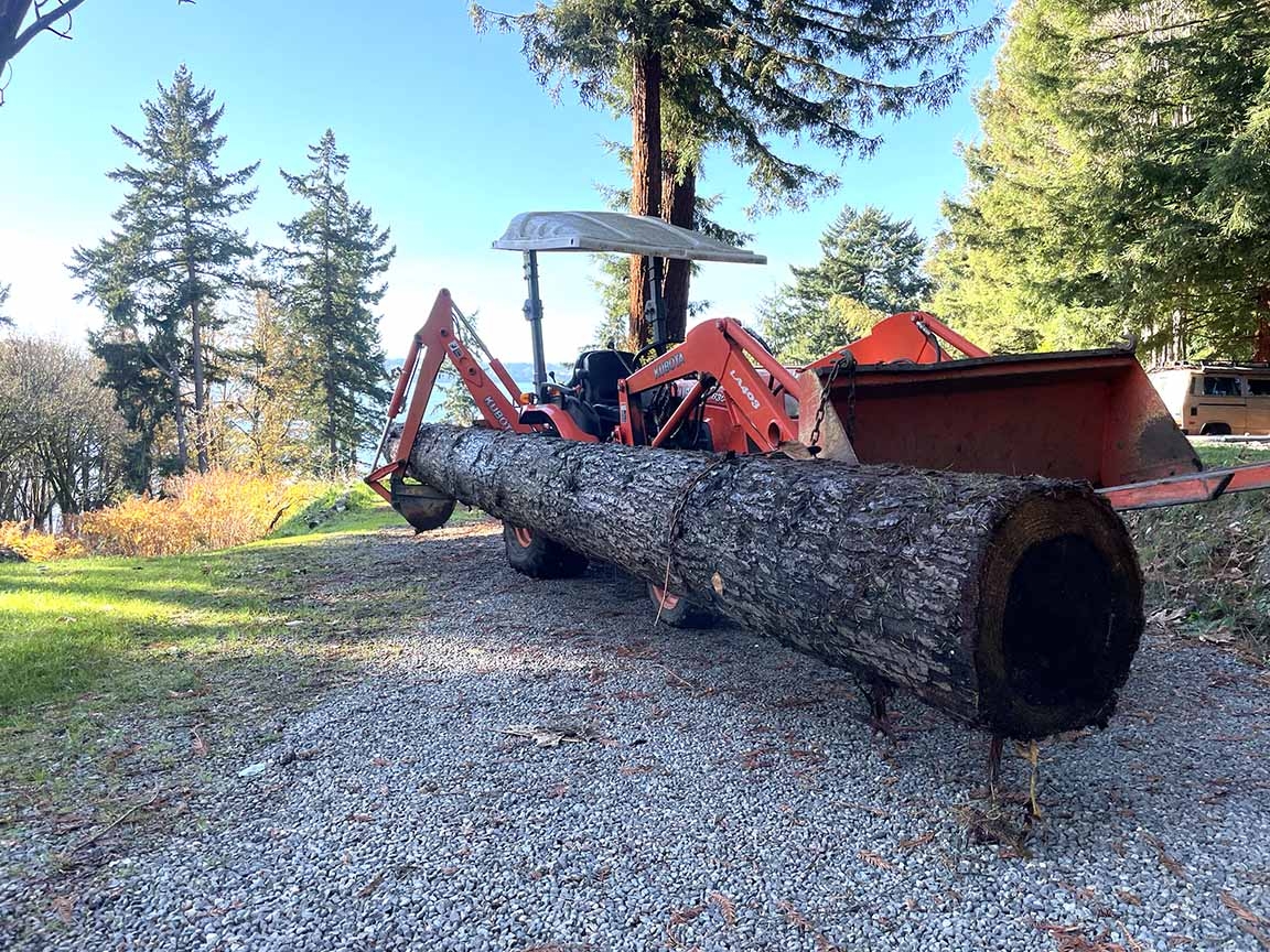 B3030 redwood log side1.jpg
