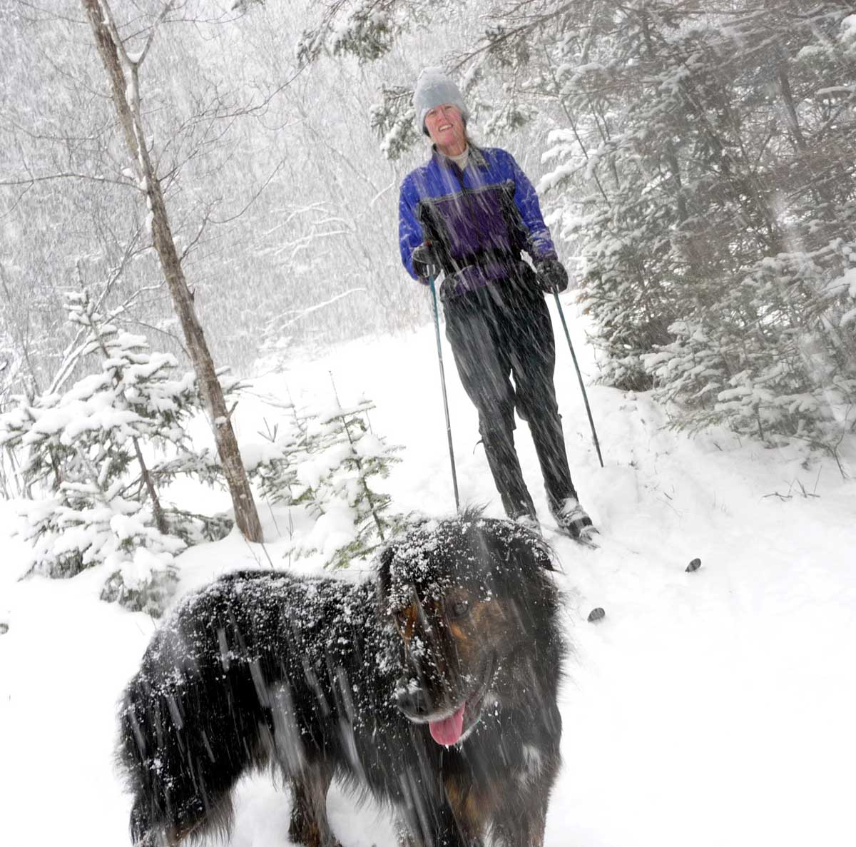 BC tech Sandy & Gromit (DL).jpg