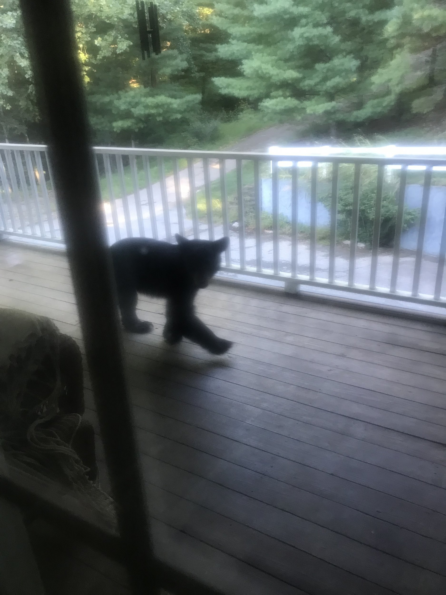BD458D6B-BAED-43C7-9712-B90FF22BB86F.jpeg