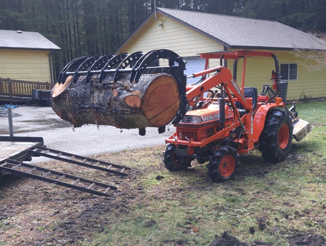 Big log 01.jpg