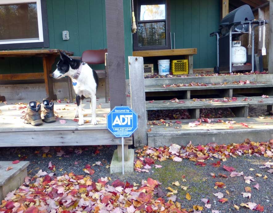 bobscampdolly38.jpg