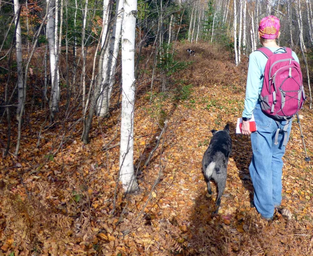 bobscamptrail259.jpg