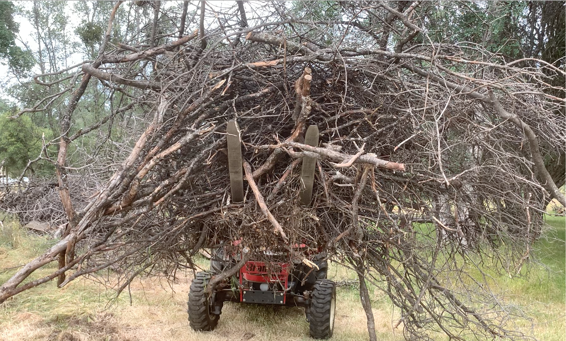 Branson and Brush.png