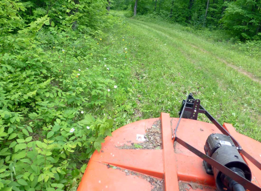brtmow0396.jpg