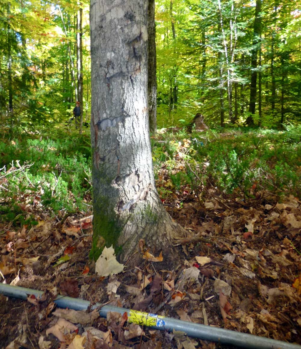 brttrailwork0066.jpg