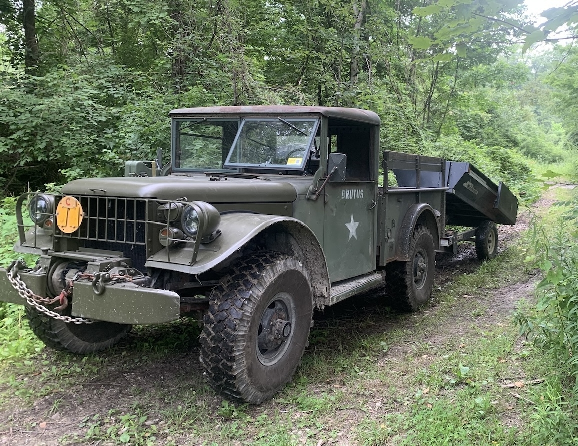 Brutus in Town Forest.jpeg