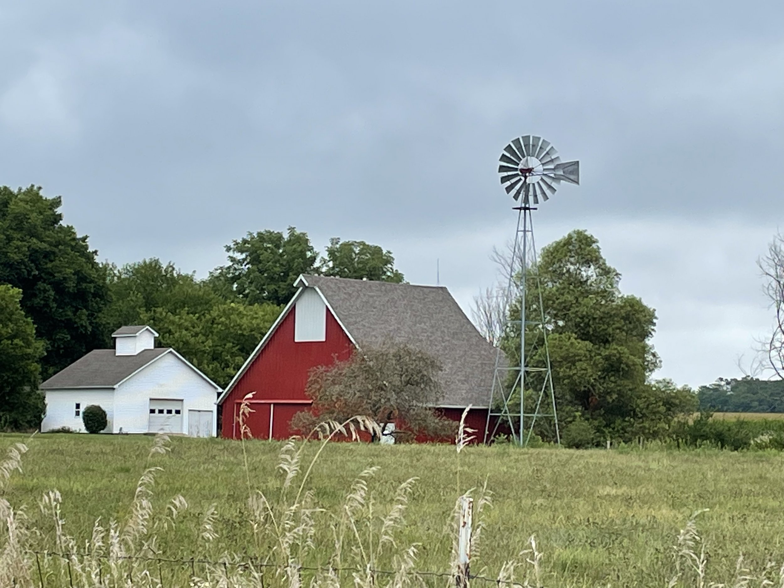 C917E7F6-3F02-4665-BC01-80998F487BE4.jpeg