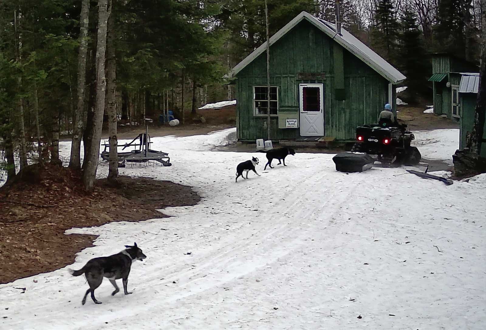 camp0100.jpg