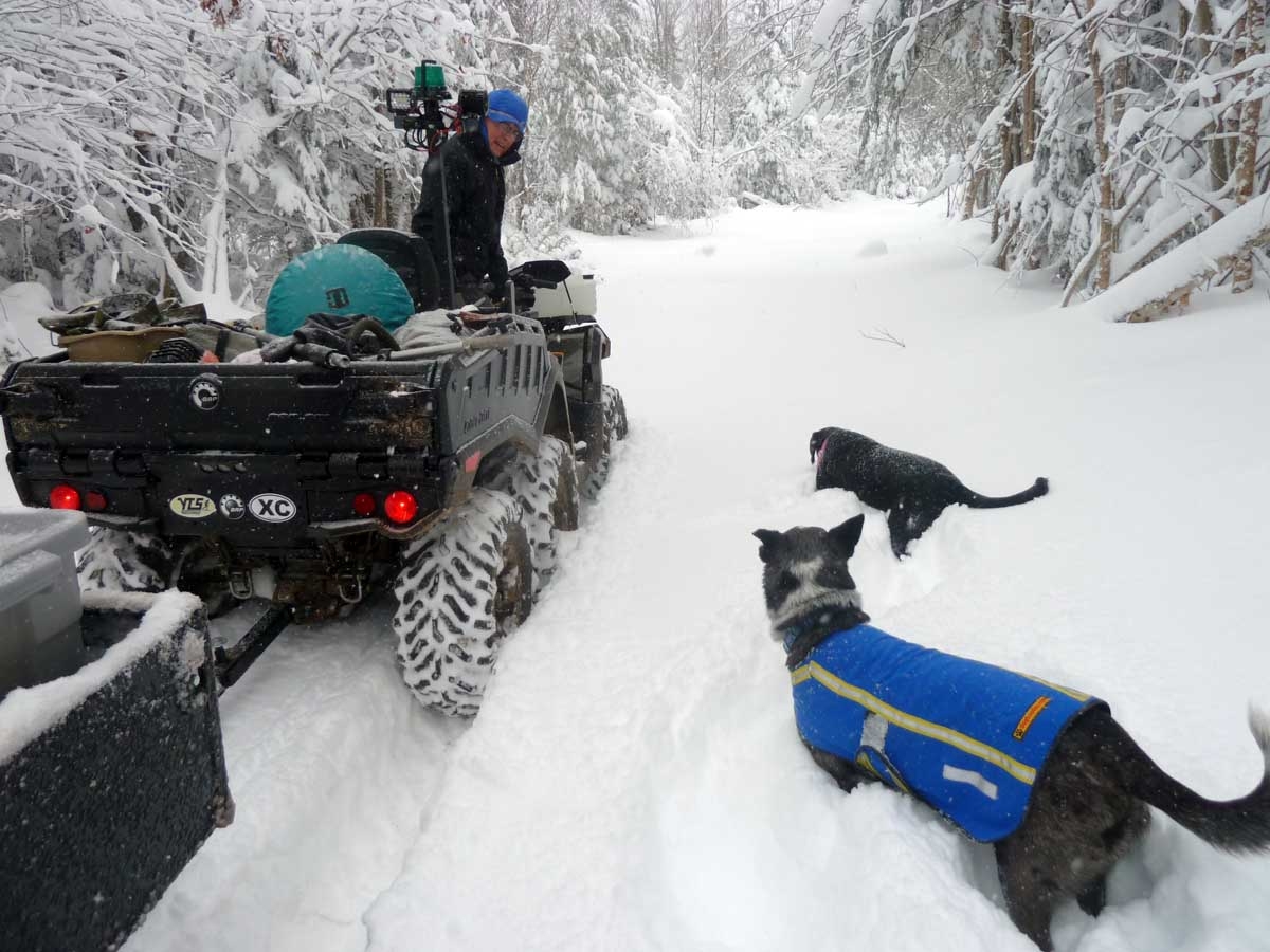 campsnow6x6dogs.jpg