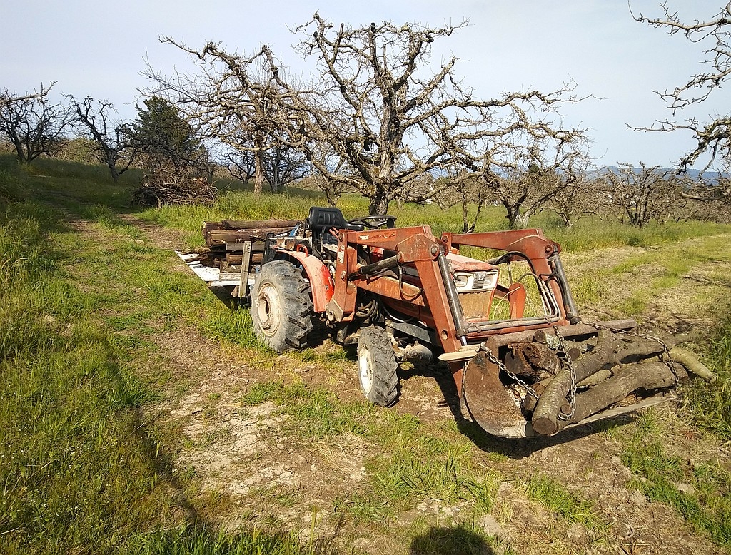 Carry debris 20190324_163004r.jpg