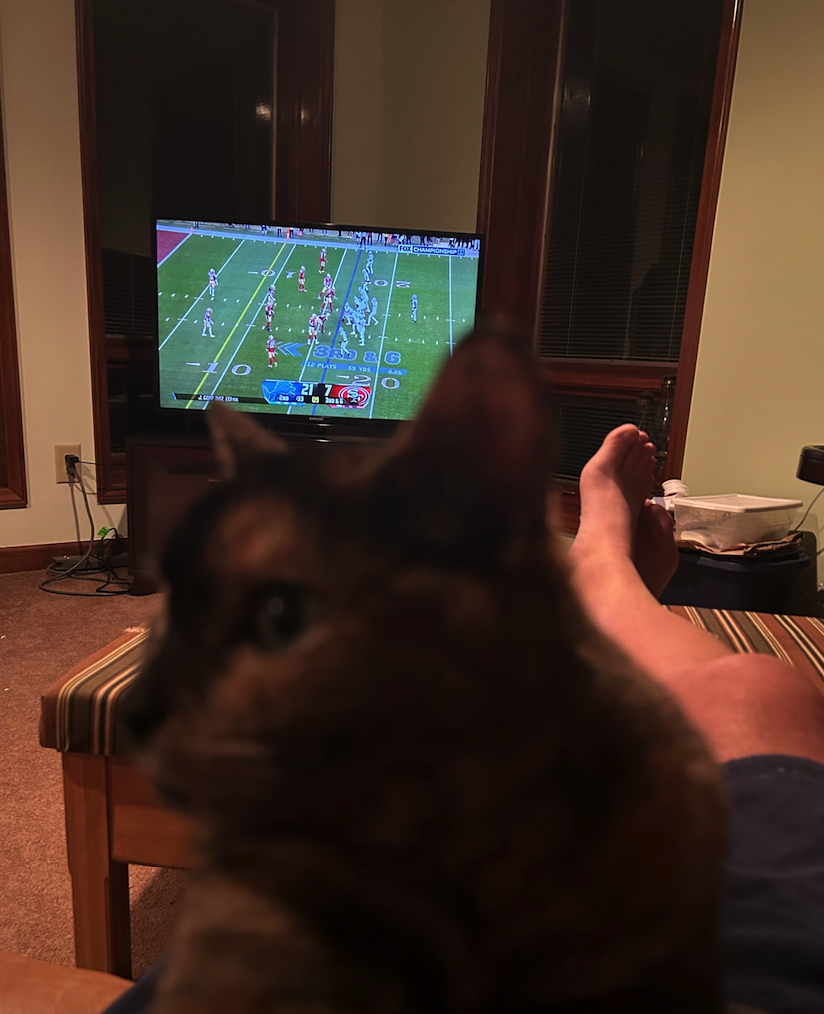 CAT.png