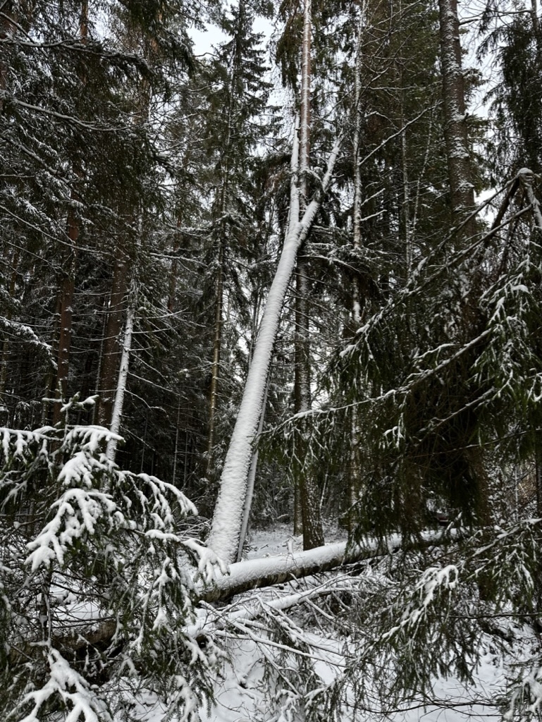 CF0E0565-5844-4564-92E3-499720FC65BE_1_105_c.jpeg