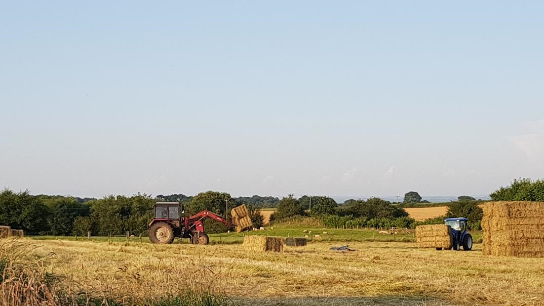 Chasing bales.jpg