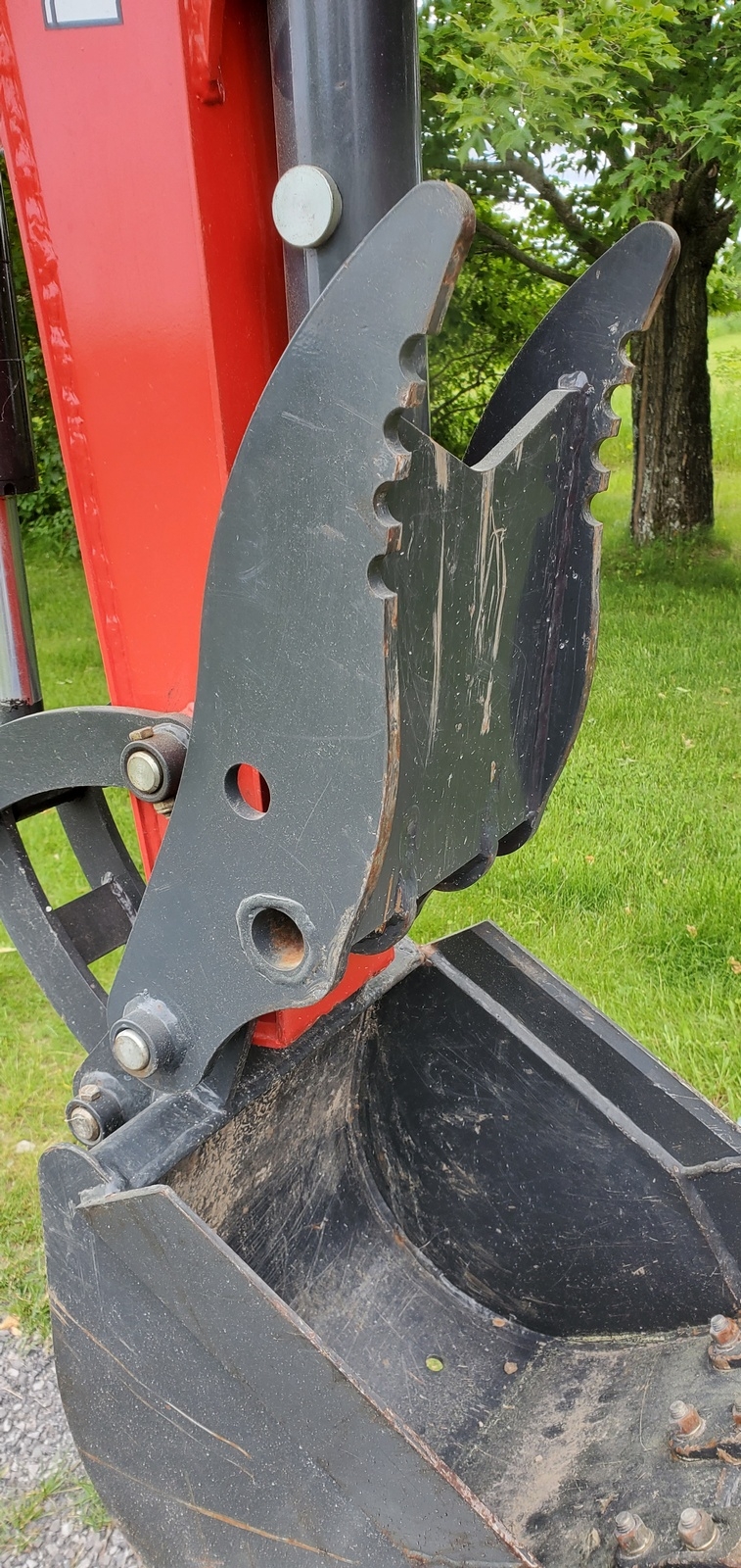 closeup5.jpg