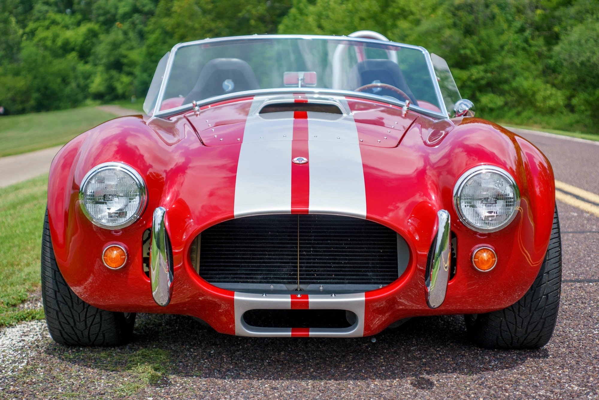 COBRA.jpg