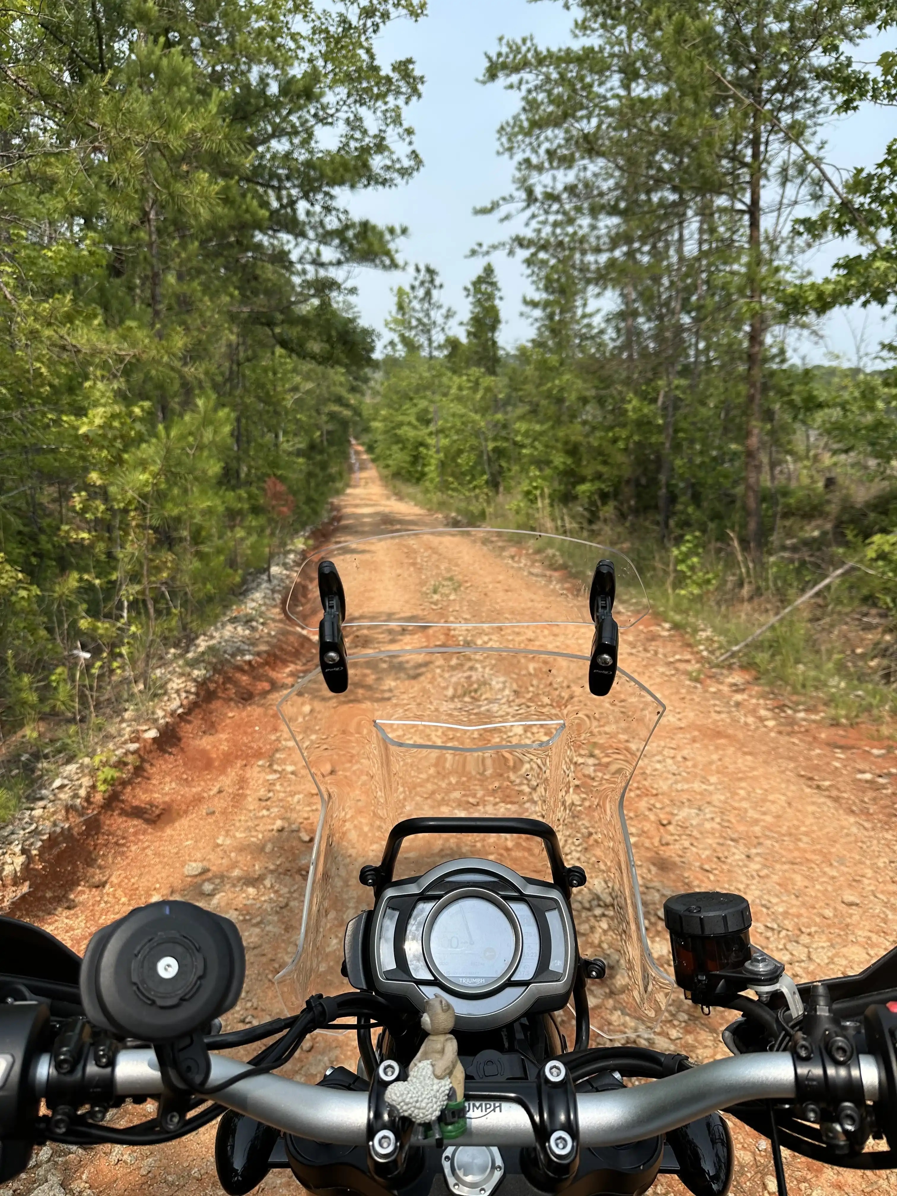 cockpit view.jpg