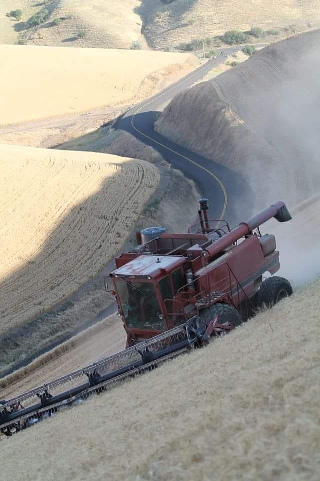 combine-on the wall.jpg