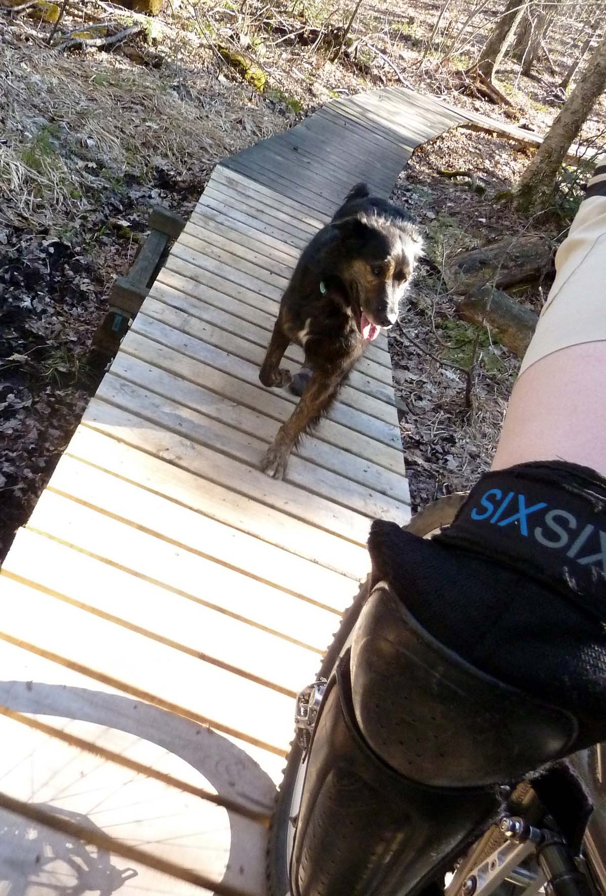 CR Gromit bridge (DL).jpg