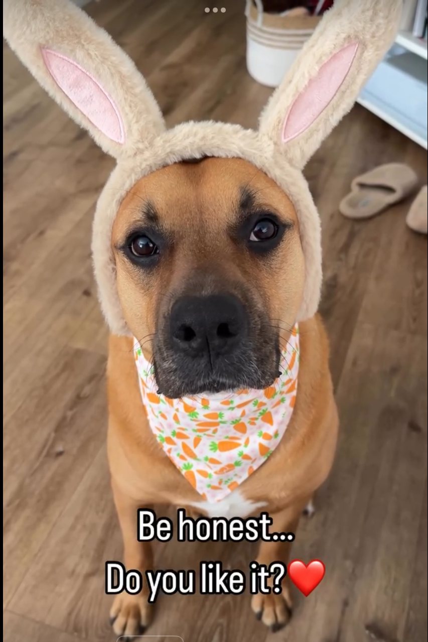 D933B26E-0A75-436D-9241-268227E9CC12.png