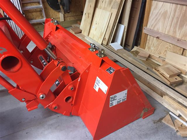 Dacey-3 (Small).JPG