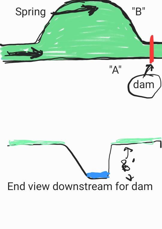 Dam_240730_152106_1.jpg