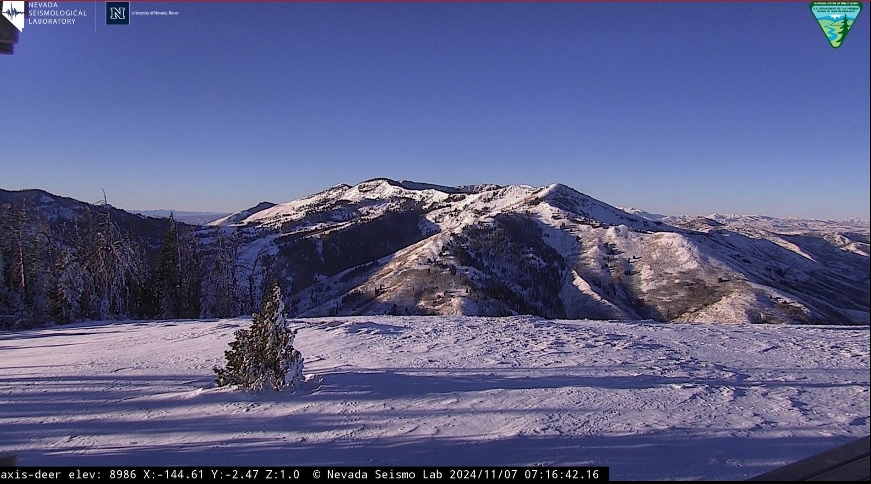 Deer Mountain camera 11-7-24.jpg