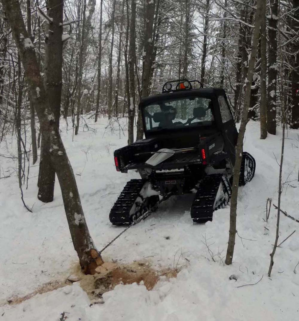 defendertree.dl.jpg