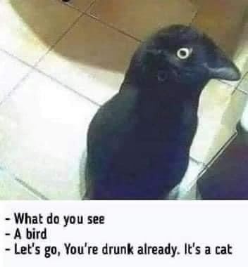DF5E4800-B645-43ED-B39E-FD71EA27E12B.jpeg