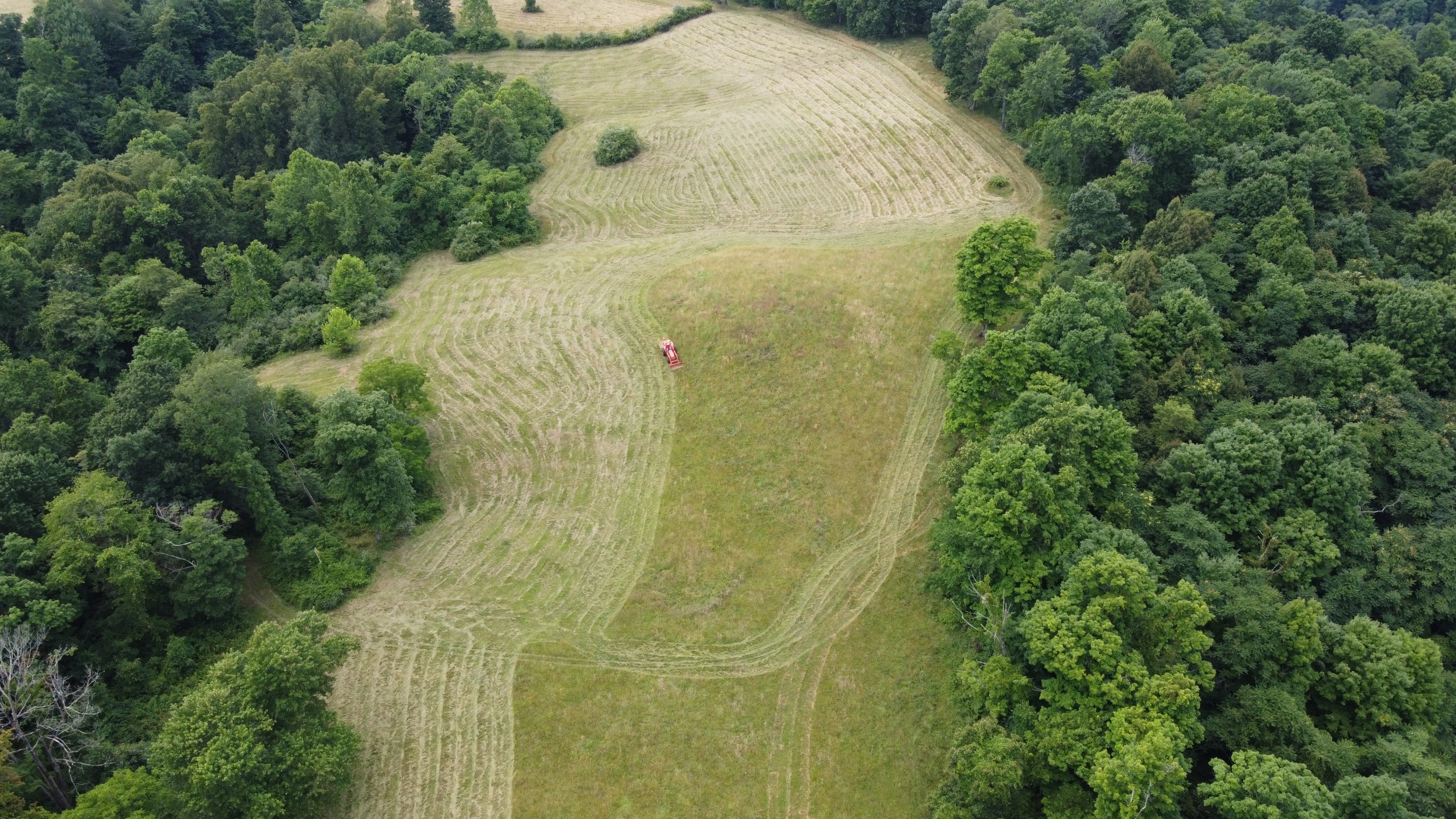 DJI_0565.JPG