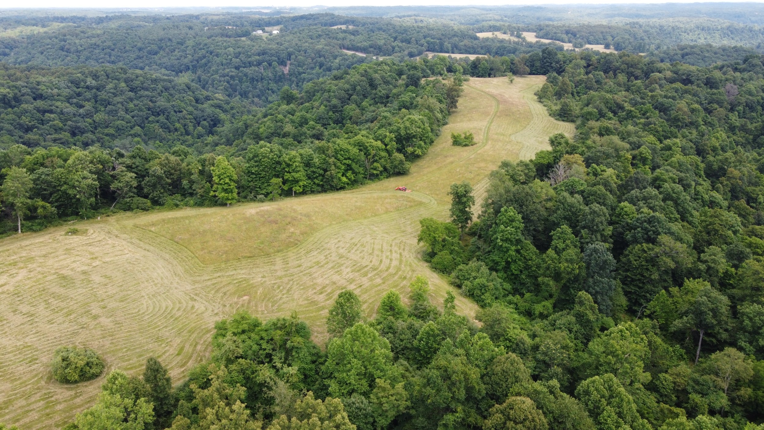 DJI_0569.JPG