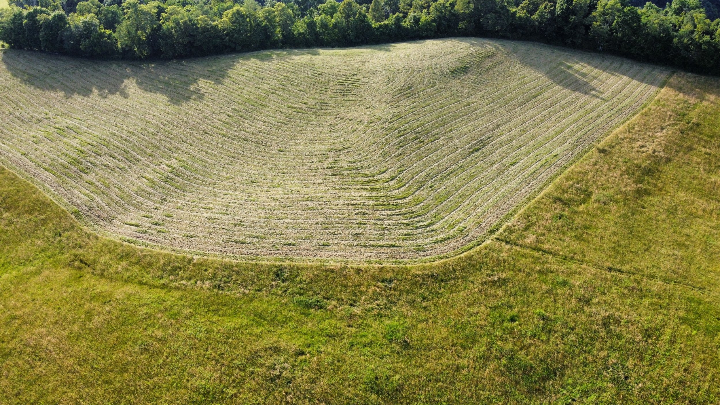 dji_fly_20240615_183028_527_1718491241173_photo_optimized.jpeg