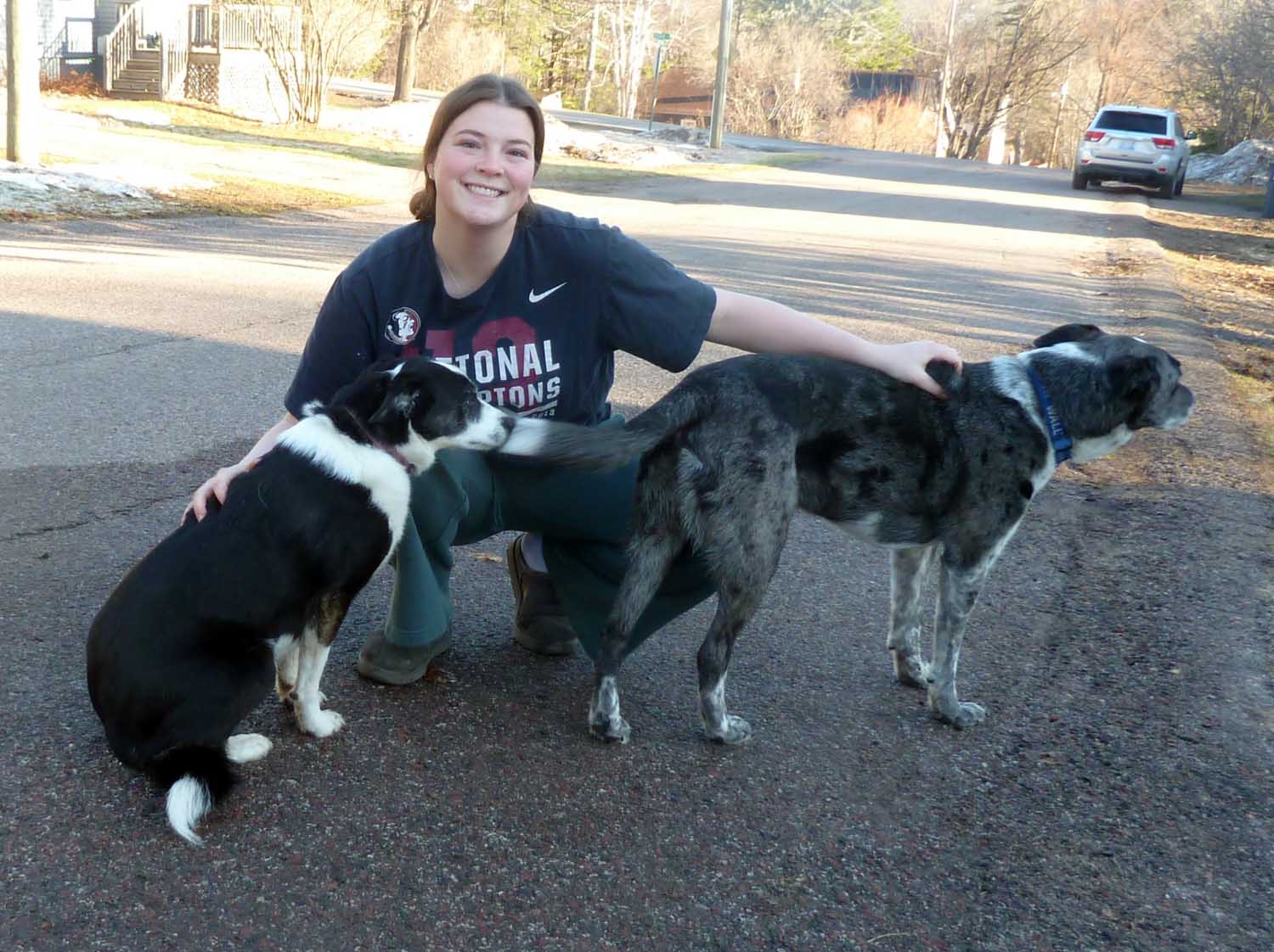 dogs602.jpg