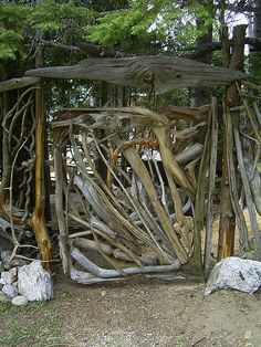 driftwood.jpeg