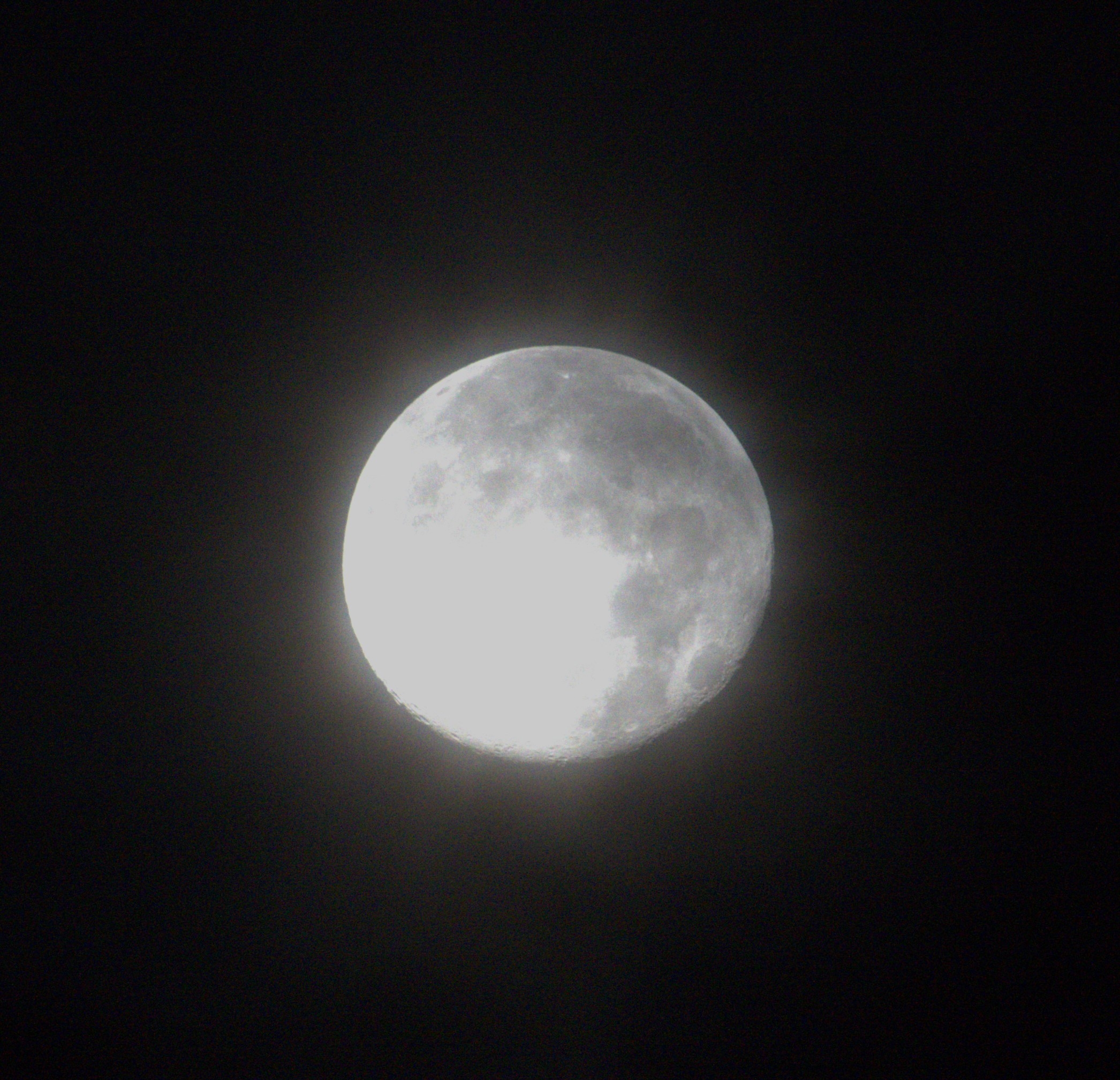DSC03151.jpeg