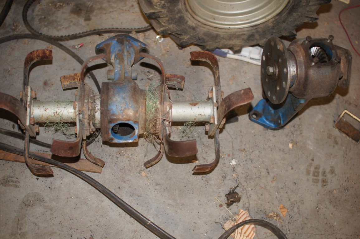 DSC07119 (Medium).JPG